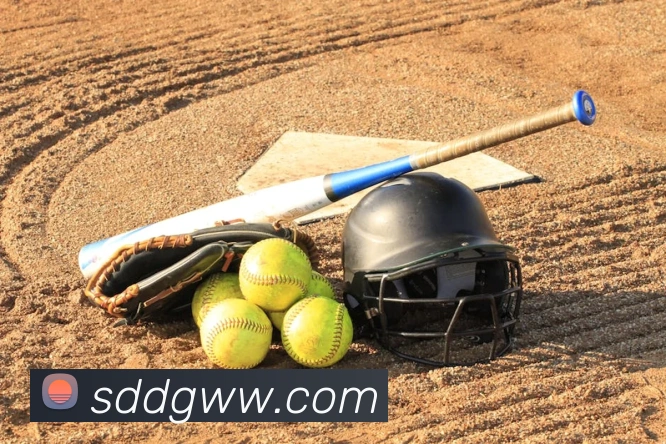 易倍emc发展历程